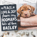 Zoek naar kerstkaart briefkaarten Vreugde
