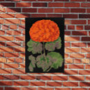 Zoek naar rode geranium posters Voor hem/haar