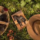 Zoek naar paard briefkaarten Boerderij