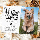 Zoek naar doge briefkaarten We zijn verhuisd