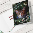 Zoek naar meowy christmas briefkaarten Voor iedereen