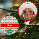 Zoek naar teckel kerstdecoratie Wielerhond
