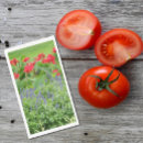 Zoek naar foto servetten Elk persoon