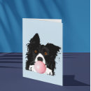 Zoek naar collie hond kaarten Felicitatie
