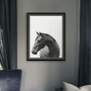 Zoek naar black horse kunst Modern