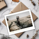 Zoek naar olijf briefkaarten Foto