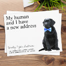 Zoek naar moving announcement briefkaarten Hond