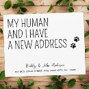 Zoek naar grappige katten uitnodigingen Leuk