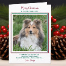 Zoek naar papa kaarten Dog dad