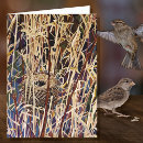 Zoek naar leeg nest briefkaarten Nesten