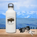 Zoek naar amerikaanse bizon stickers Inheems amerikaans