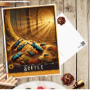 Zoek naar kevers briefkaarten Voor iedereen