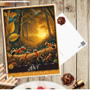 Zoek naar mieren briefkaarten Natuur
