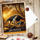 Zoek naar miereneter briefkaarten Dier