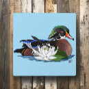 Zoek naar watervogels klokken Elk persoon