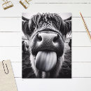 Zoek naar schotse humor briefkaarten Elk persoon