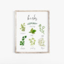 Zoek naar kruid posters Prints