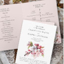 Zoek naar sakura briefkaarten Gast