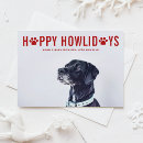 Zoek naar dierenvriend kaarten Gezelschapsdieren