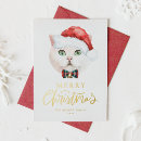 Zoek naar kustwacht kaarten Vakantie