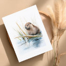 Zoek naar bever briefkaarten Wild