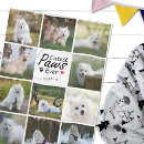 Zoek naar honden poot dekens Fotocollage