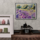 Zoek naar rustgevende kunst Seren