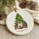 Zoek naar ragdoll ornamenten Vakantie