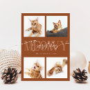 Zoek naar grappige kattenfoto kaarten Meowy kerstmis