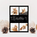Zoek naar grappige kattenfoto kaarten Meowy kerstmis