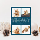 Zoek naar grappige kattenfoto kaarten Meowy kerstmis