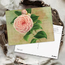 Zoek naar vintage botanical briefkaarten Tuin