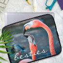 Zoek naar flamingo fotografie Vogel