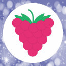 Zoek naar framboos stickers Elk persoon