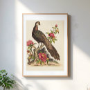Zoek naar vintage vogels posters Natuur