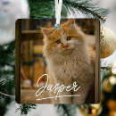 Zoek naar pet ornamenten Creëer je eigen