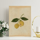 Zoek naar antiek botanische illustratie posters Voor haar