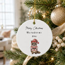 Zoek naar wasbeer ornamenten Schattig