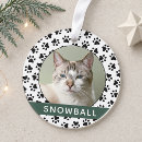 Zoek naar pet ornamenten Groen