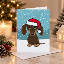 Zoek naar wiener kaarten Dachshond