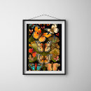 Zoek naar vlinder kunst Digitaal downloaden