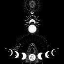 Zoek naar lioness kleding Kat