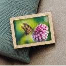 Zoek naar tuin vlinder posters Insecten