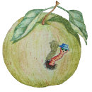 Zoek naar groene appel tshirts Elk persoon