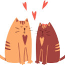 Zoek naar gorilla kleding Chimp