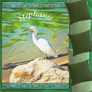 Zoek naar schaats dekens Elk persoon