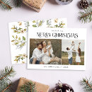 Zoek naar holi kaarten Botanisch