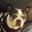 Zoek naar geloof puzzels Ieder kind