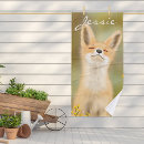 Zoek naar renard Schattig