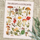 Zoek naar vintage illustraties briefkaarten Voor haar